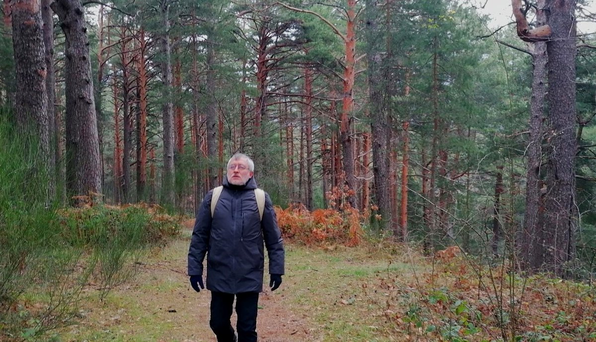 Pedro Pozas Terrados tweet media