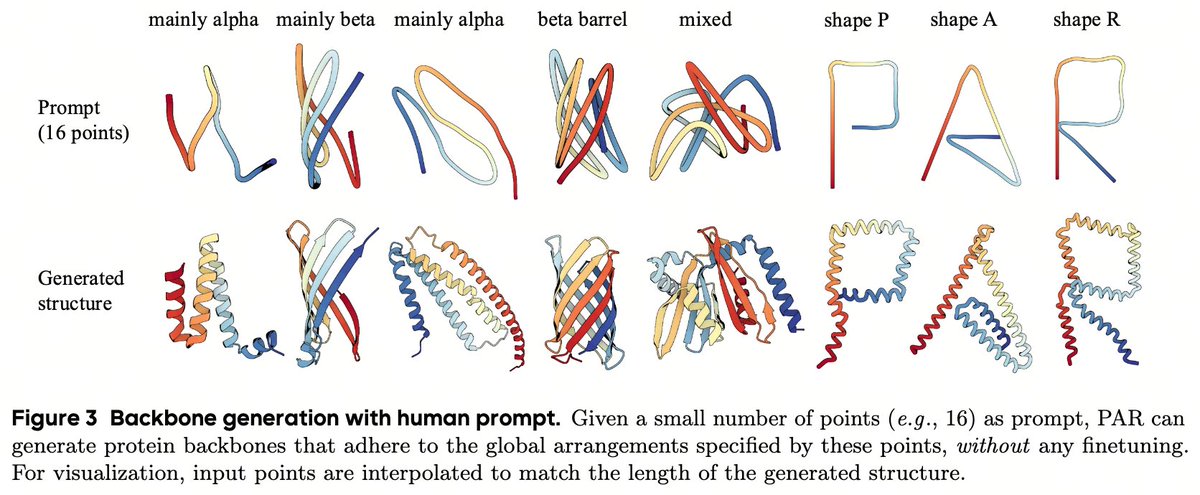 chengyenhsieh's tweet photo. ✍️ Zero-shot Prompted Generation: 
Because PAR handles multiple granularities, a human can specify a coarse layout (e.g., just 16 points) and the model will generate a complete, structurally consistent protein backbone. No fine-tuning required!