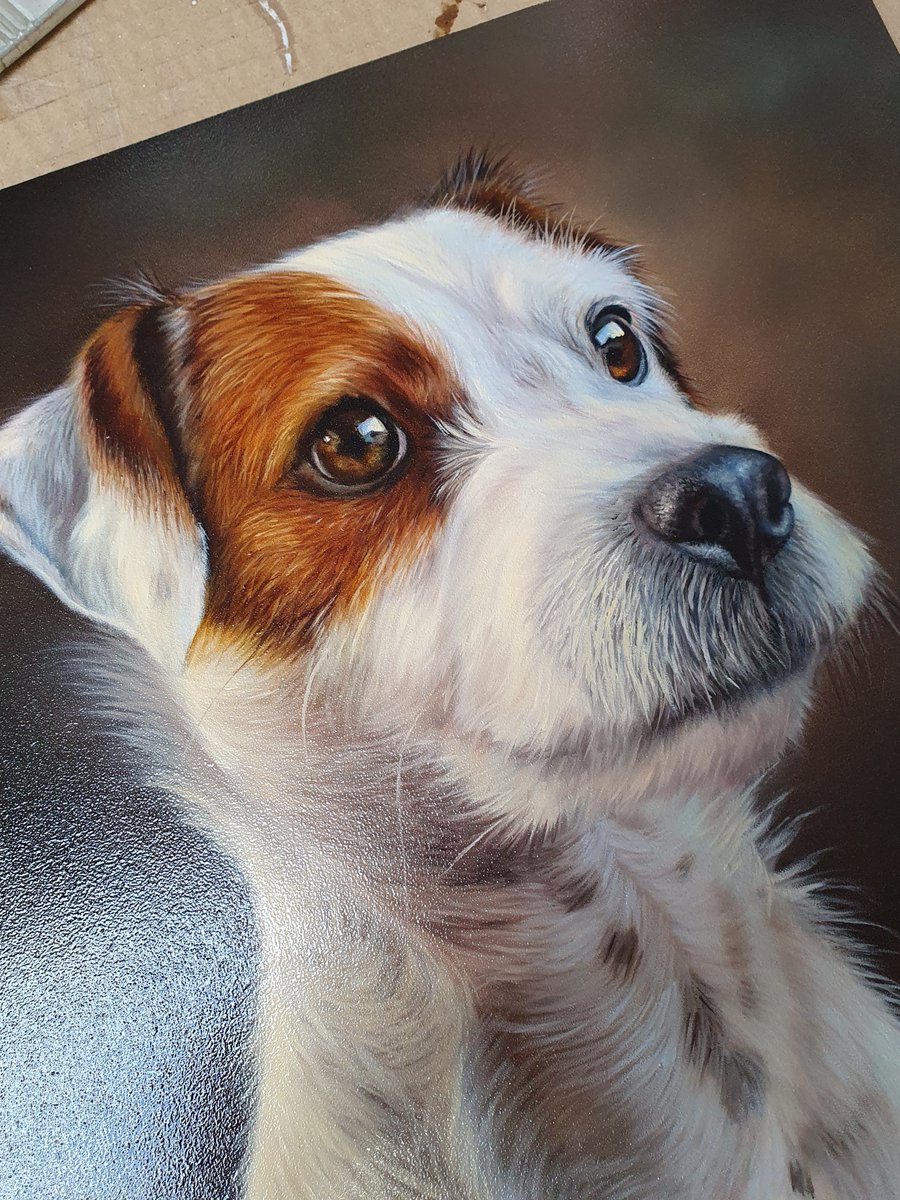 Time flies! It's hard to believe it's been over a year since I painted this little guy. While I've scaled back on commissions, they're definitely the most fulfilling part of my work. 

'JASPER' Oil on board, 12 x 12" 

#dogportrait #oilportrait #dogsofinsta #terrierlove #doggifts