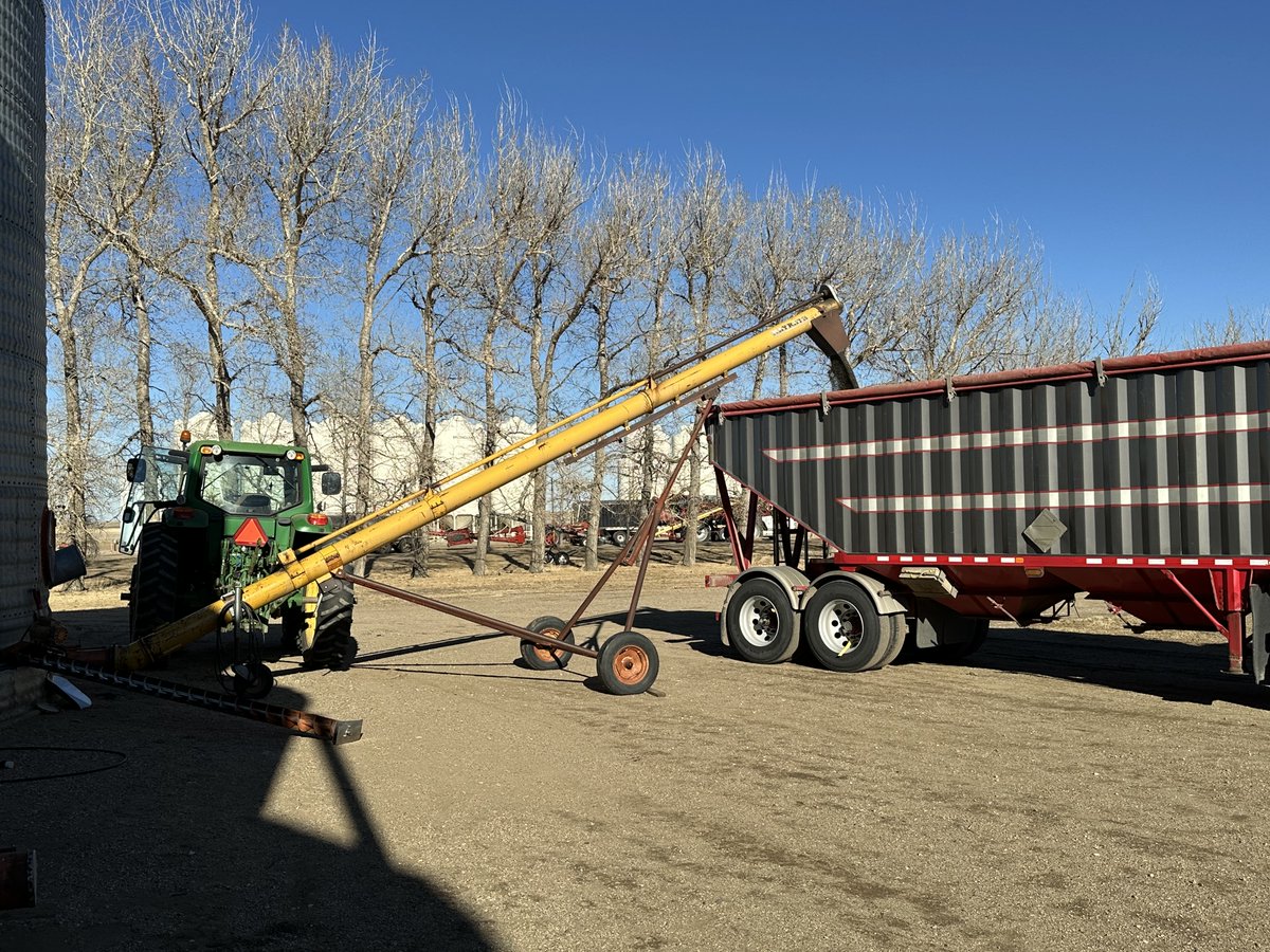 SpecialtySeeds's tweet photo. Beautiful day to load ⁦@BASFAgSolutions⁩ #invigor hybrid canola seed. Coming to a field near you this spring. https://t.co/QQg9jtkYyP
