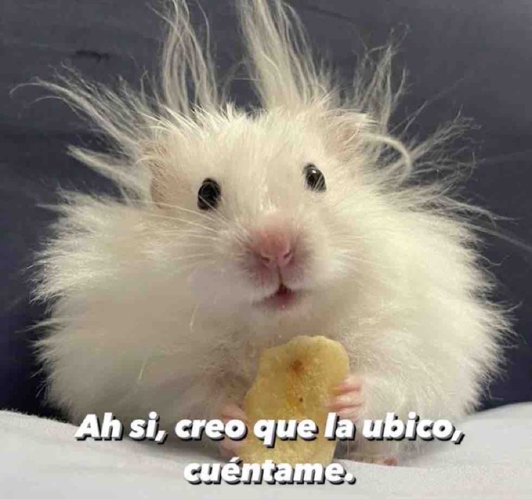 Cuando no sé de quién hablan, pero quiero saber el chisme.