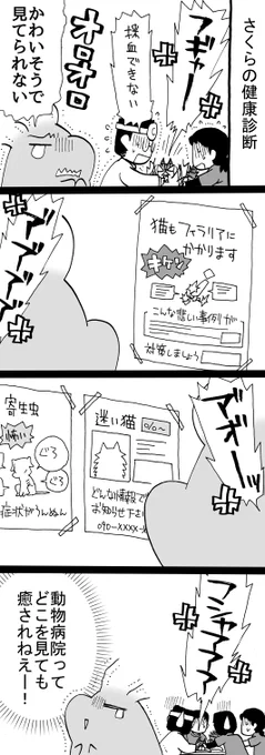 四コマ「四人がかりだった」

さくらも14歳になるので、健康診断に連れて行きました。
まだ結果が出てないのもありますが、さくらは元気のようです。

#四コマ漫画 