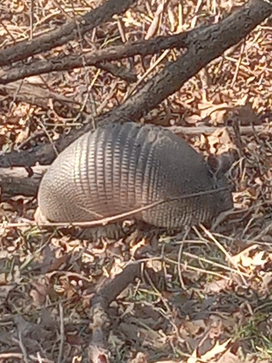 This chubby little guy doesn't care about much