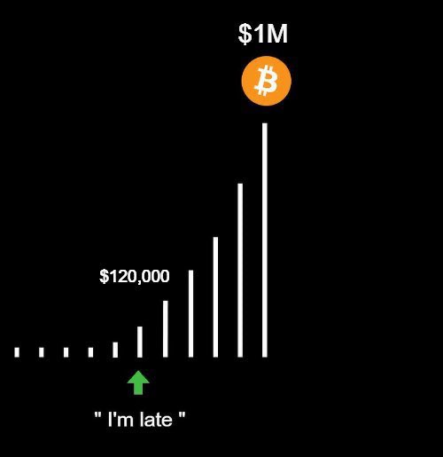 WHEN 1 BITCOIN IS $1M, YOU WON'T CARE IF YOU BOUGHT AT 65K OR 126K 🚀
