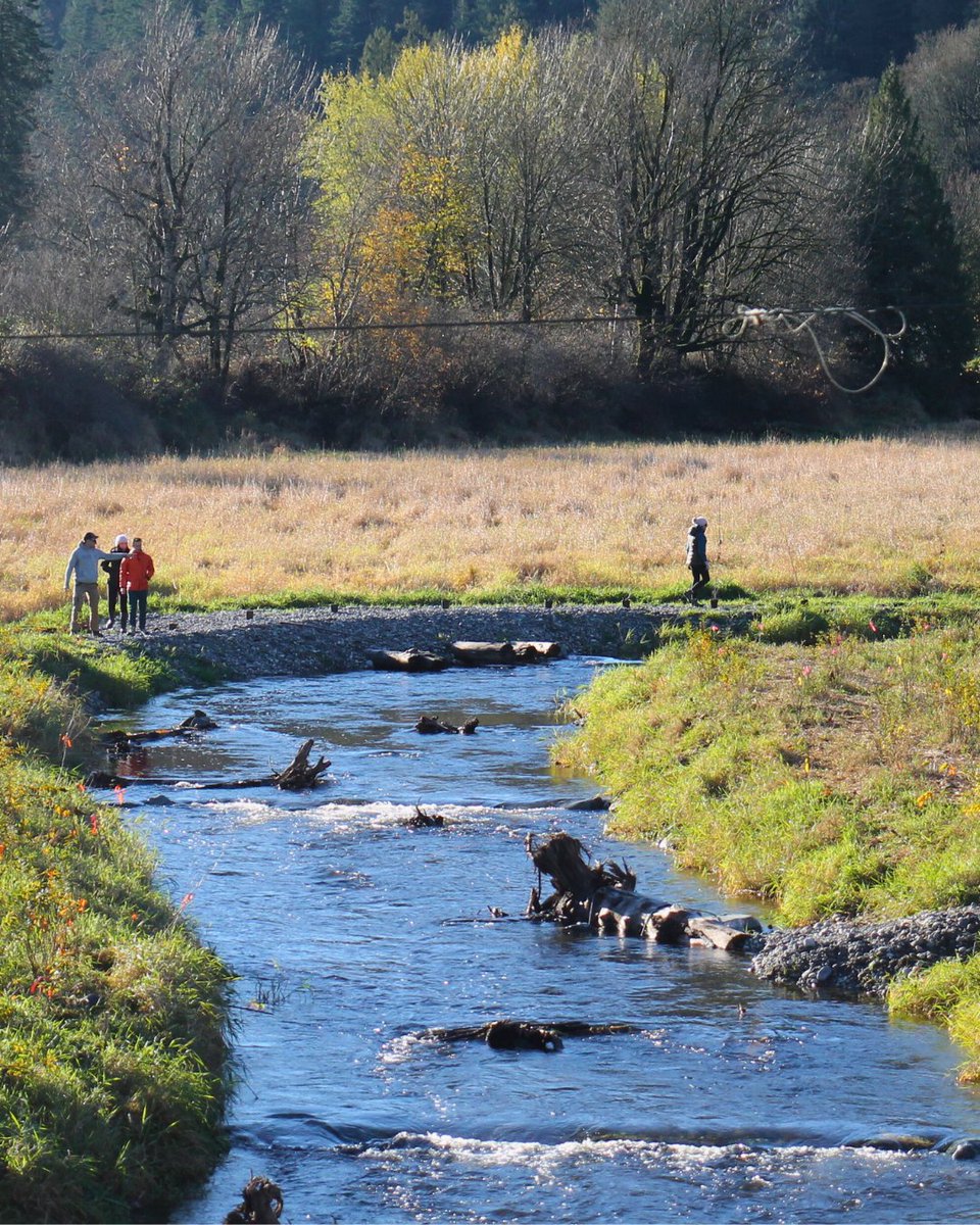 PACIFIC SALMON FOUNDATION tweet media