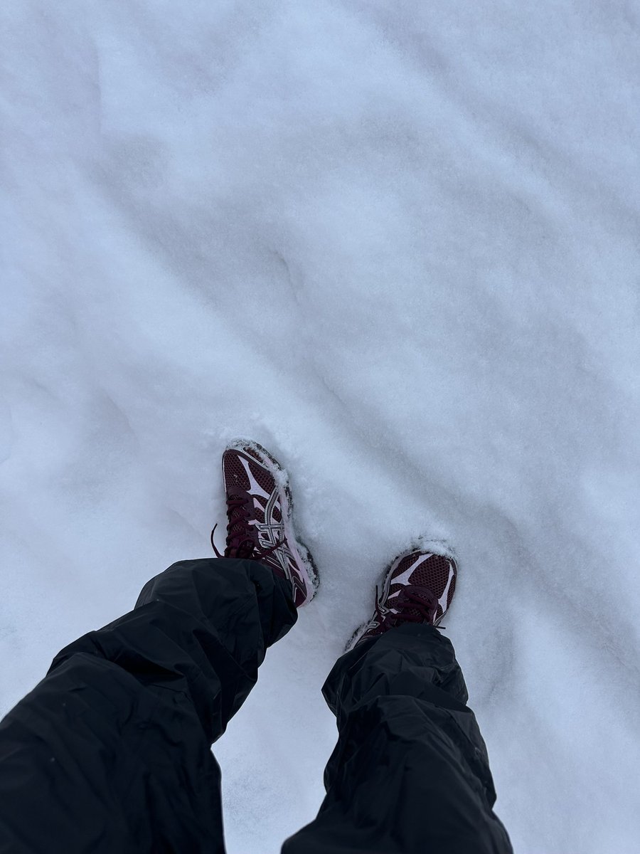 Cameron De Bruyne tweet media