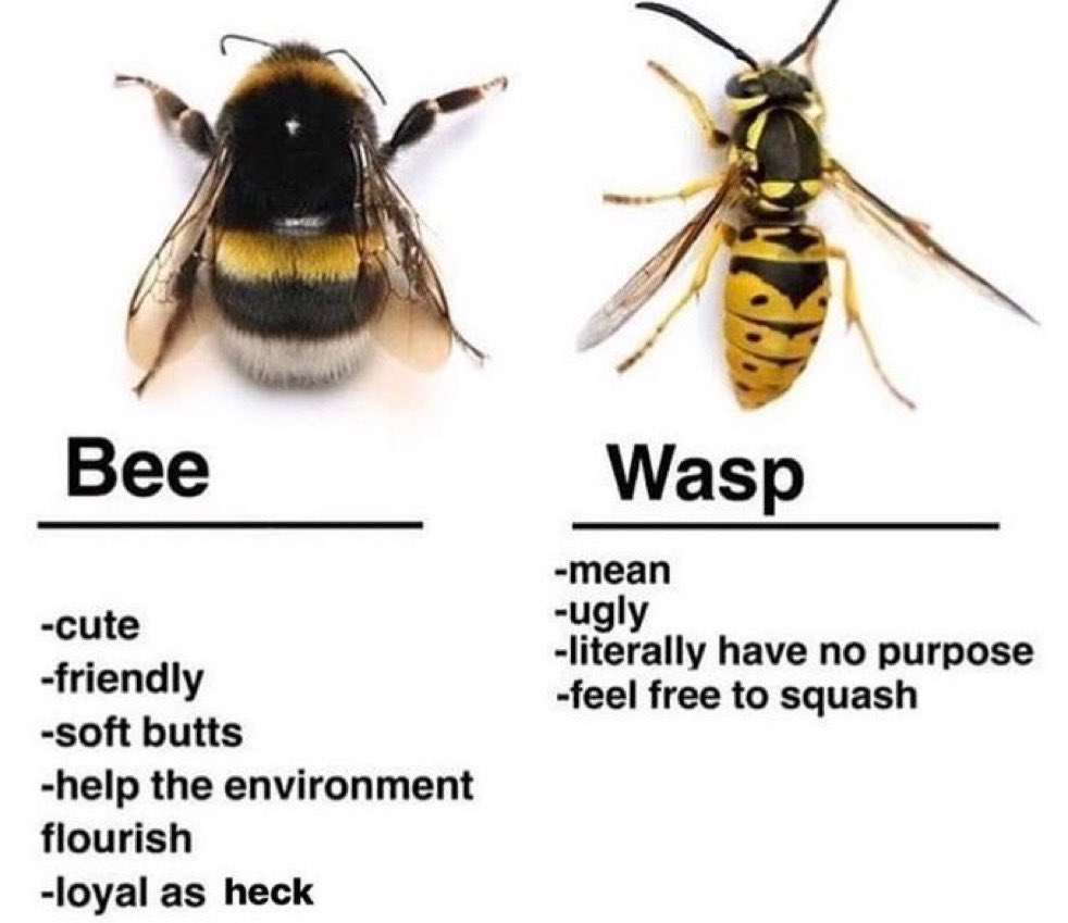 butterflyruben's tweet image. 