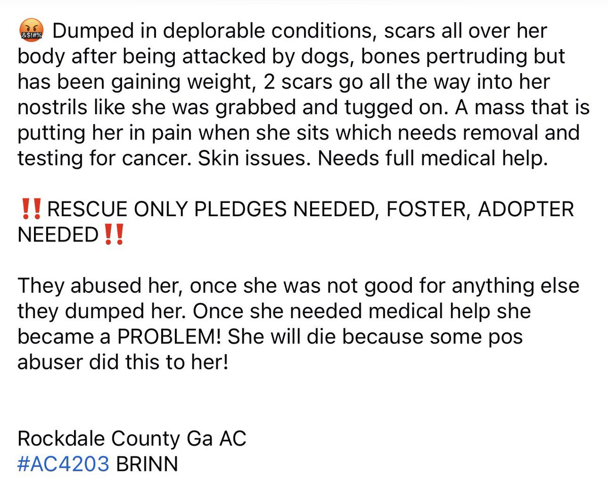 ꜱᴀᴠɪɴɢ ꜱʜᴇʟᴛᴇʀ ᴅᴏɢꜱ tweet media