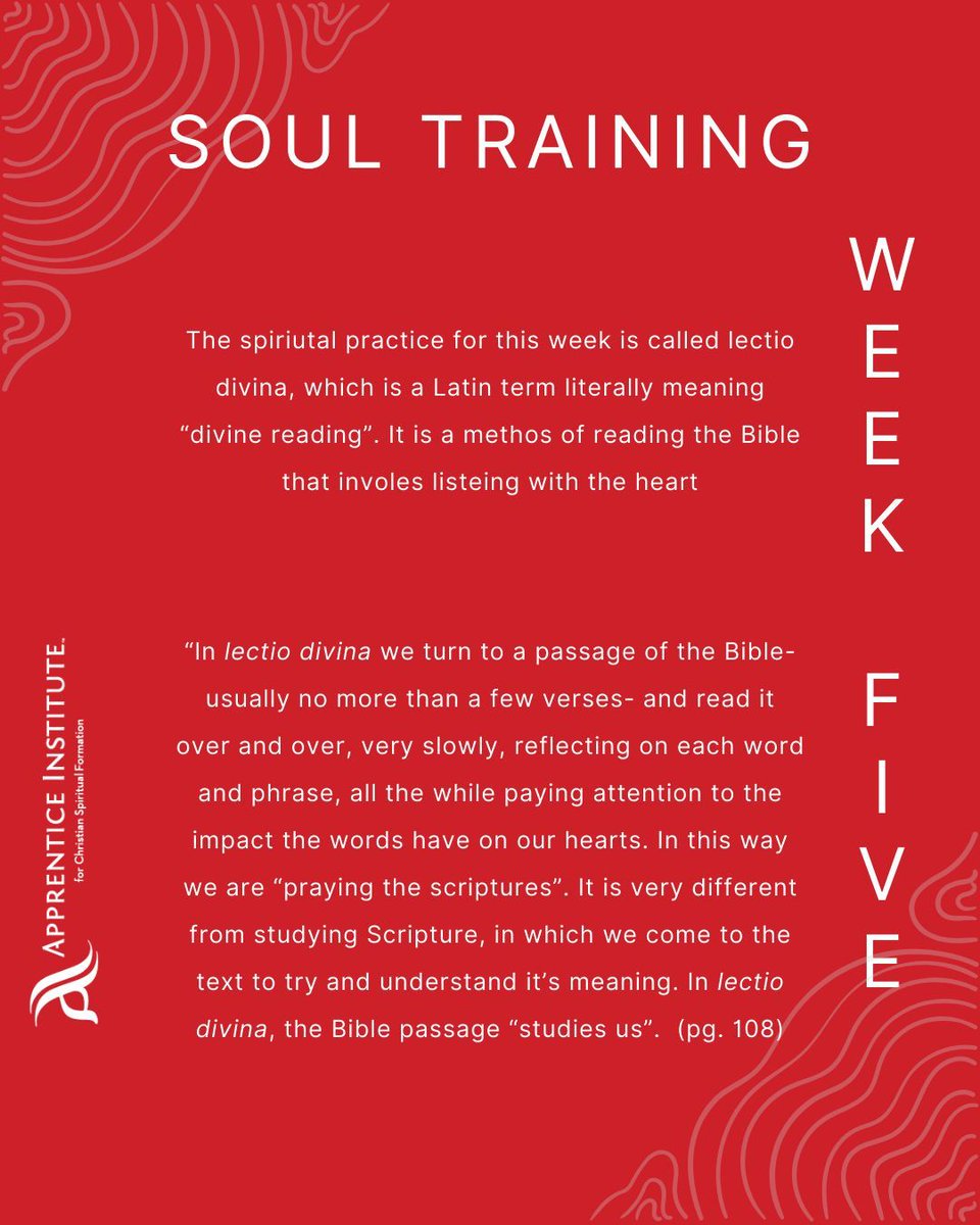 Apprentice Institute tweet media