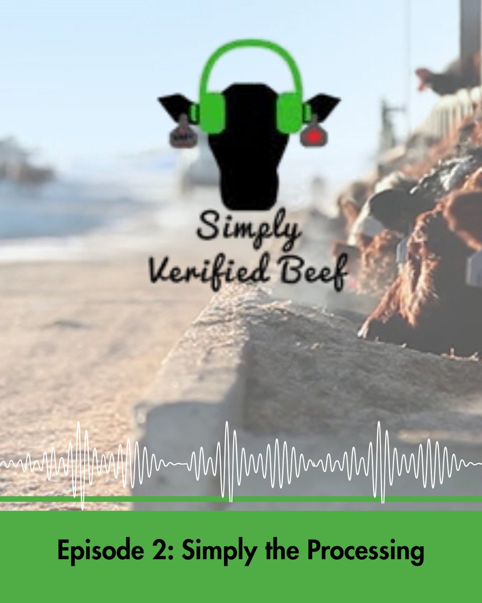 VBP+ Canada tweet media