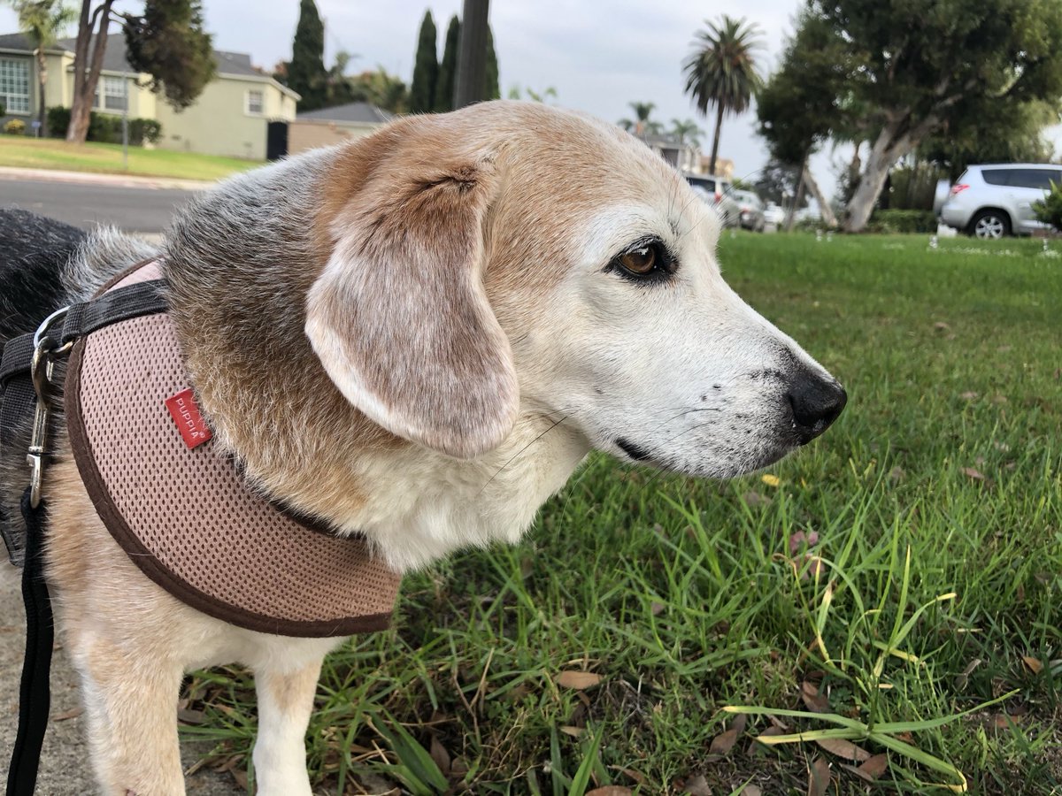 Hello frends 🤎🤗🐾😇