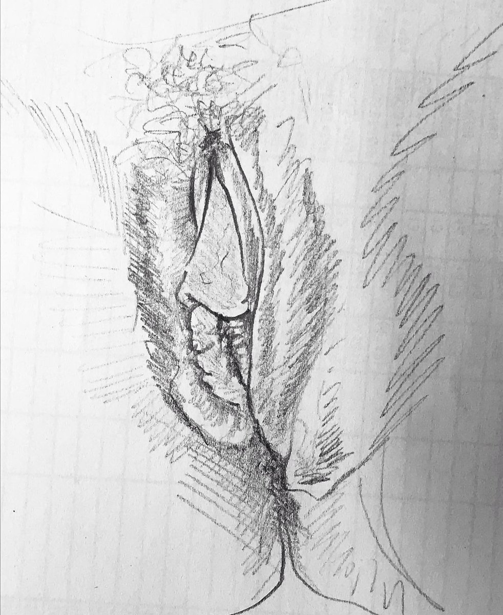 这X是越来越差劲了，app登陆不上还经常收不到私信，各种bug 还一大堆垃圾广告。真怀念以前的推特。。。