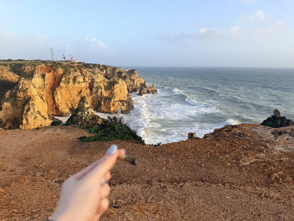 flowstateflower's tweet photo. Smoke spot of the day #ssotd https://t.co/t3AFkF0RTk