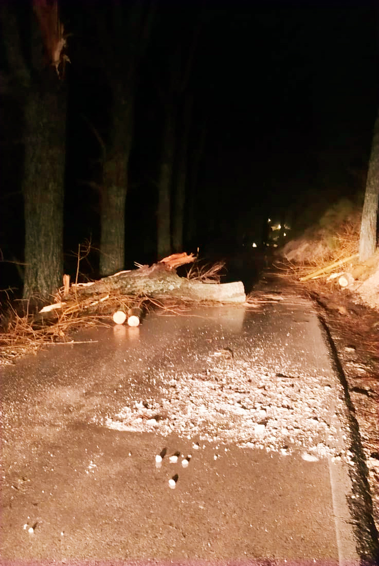 No podía ser de otra forma. Esta noche nuestra mente está con los más de 5.500 vecinos evacuados de sus viviendas por la #BorrascaLeonardo en #Andalucía. Prestar #ServicioPúblico no nos impide sentir como nuestra, vuestra preocupación y angustia

¡#MuchoÁnimo, #EstamosContigo!