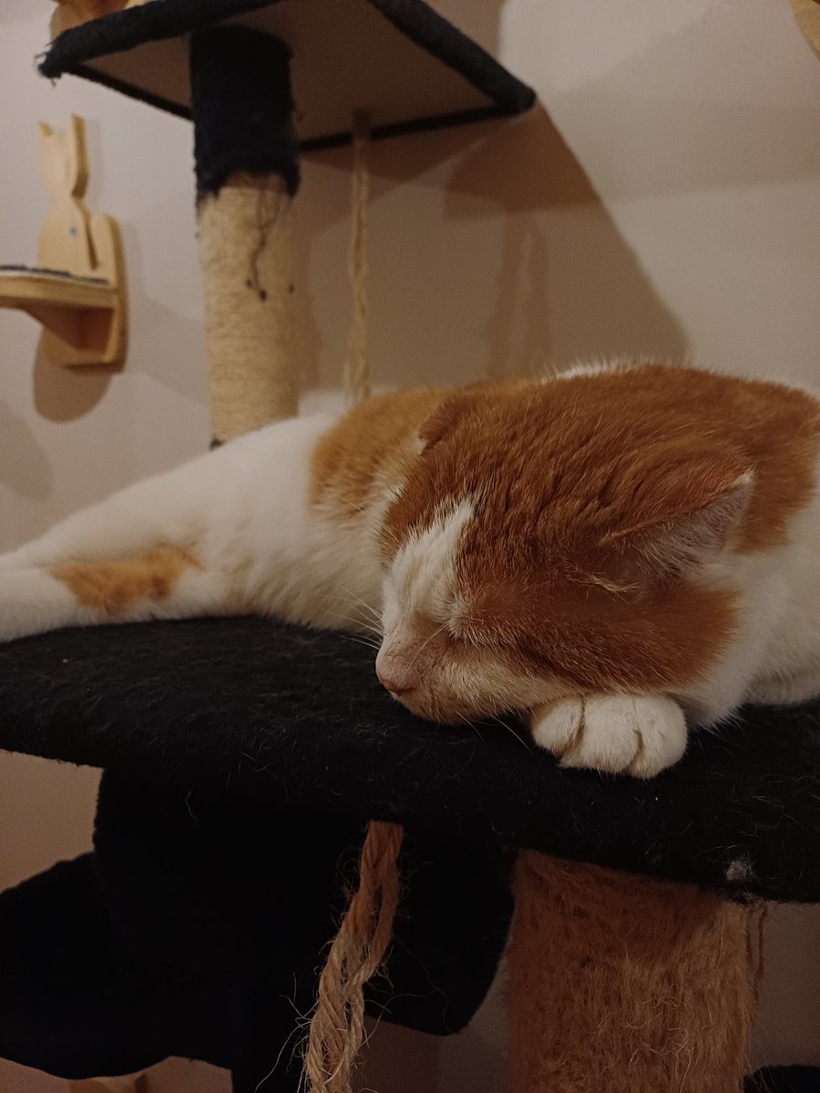 hugs4yongbok off twitter ✨️