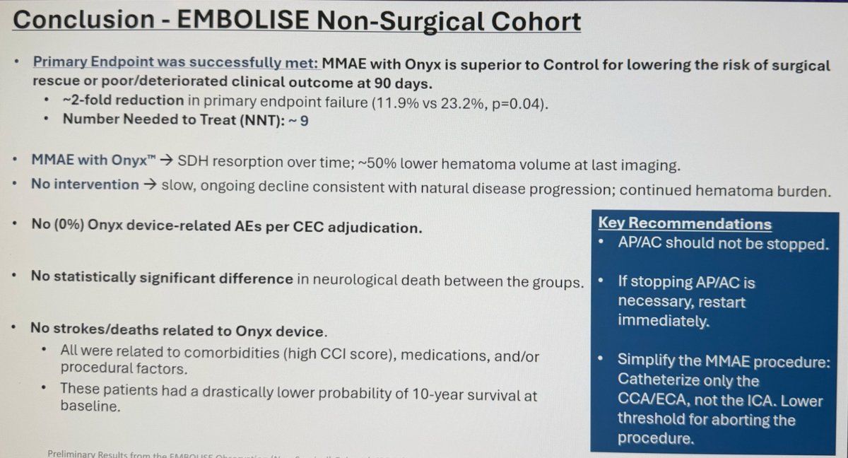 Ayrton Massaro tweet media