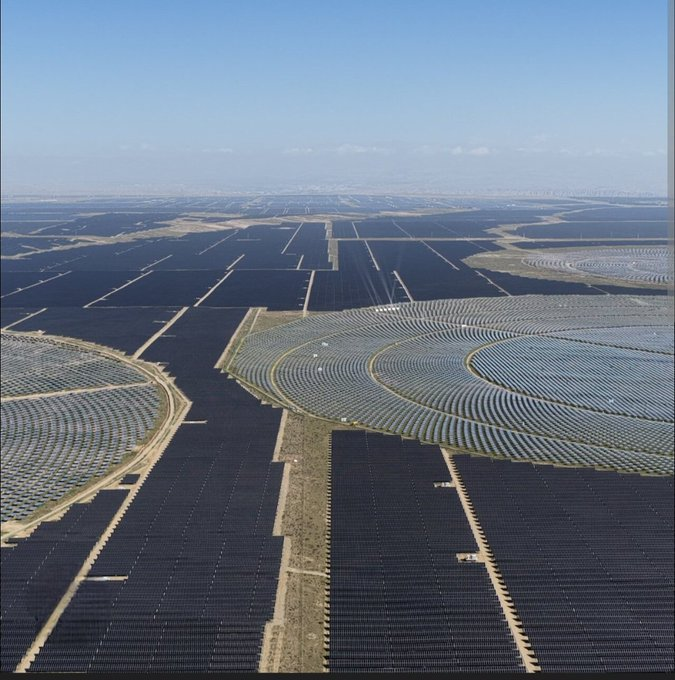 Daniel Scott tweet media