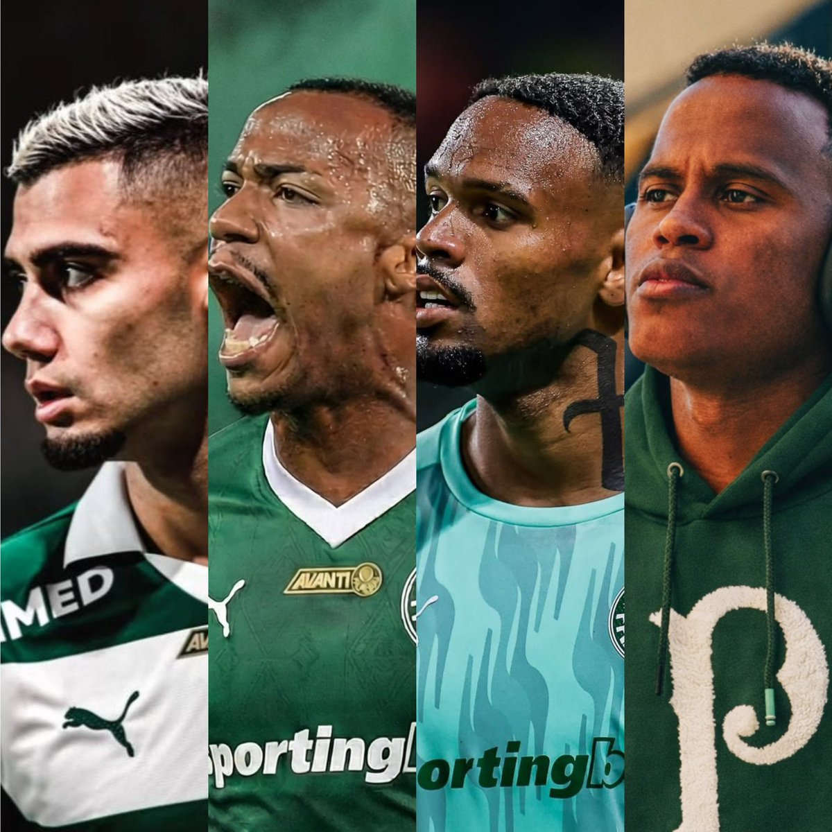 João Freire tweet media