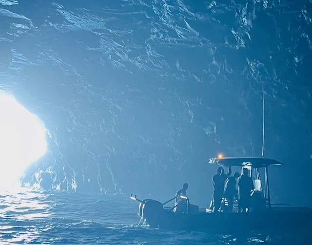 United States Lifesaving Association tweet media