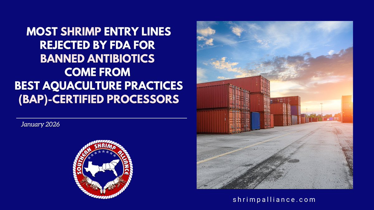 New FDA data released this week shows:
- 11 shrimp entry lines refused for banned antibiotics in Jan 2026
- 3 countries: Indonesia (7 entry lines), Vietnam (3), China/Hong Kong (1)
- 7 refusals from Indonesia, continuing a sharp upward trend
- 4 different processors supplied the