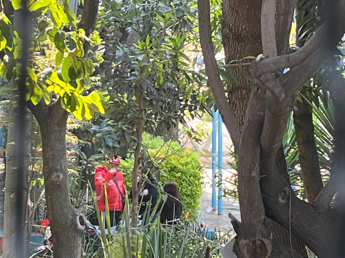 Hola <a href="/BlindarMH/">Blindar MH</a> solicitamos su apoyo, nos reportan vecin@s que hay tres personas alcoholizándose en Lago Aullagas a un costado de los juegos infantiles frente al #97, a unos metros de la Calz. México-Tacuba.
Ccp
<a href="/telediario/">Telediario CdMx</a>
<a href="/MHGOByJ/">Gobierno y Asuntos Jurídicos MH 2024-2027</a>
<a href="/AlcaldiaMHmx/">Alcaldía Miguel Hidalgo</a>