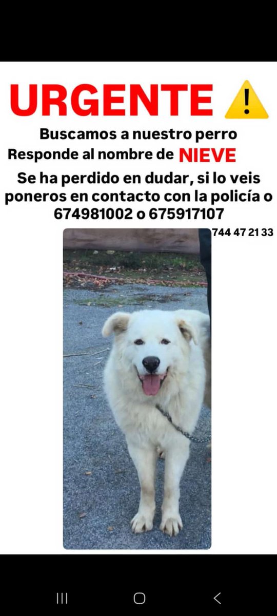 AsVoGra Protección Civil tweet media