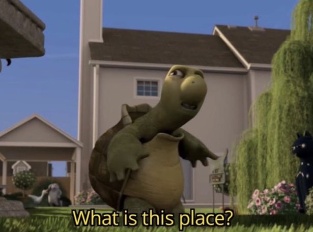 James ⭐️ ⭐️ tweet media