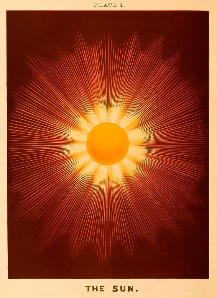 Rage ❉ (@ragecvlt) on Twitter photo 