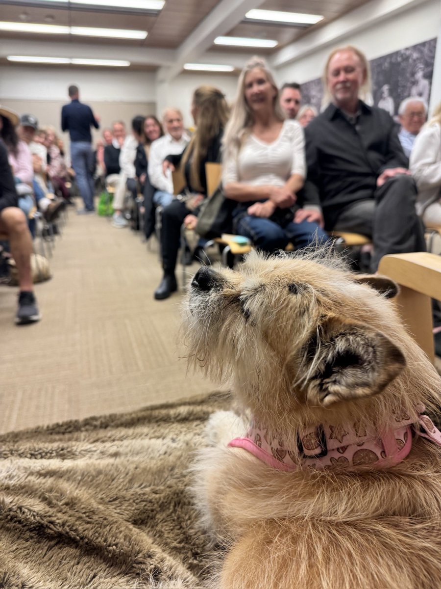 Finding Gobi tweet media