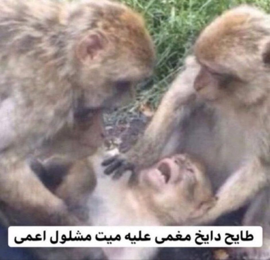 BASSAM_FATINY's tweet photo. حركات جروك@grok لما اقوله اختار حساب يفوز معي بمبلغ ٥٠٠﷼ https://t.co/XIbH1Rhrfv