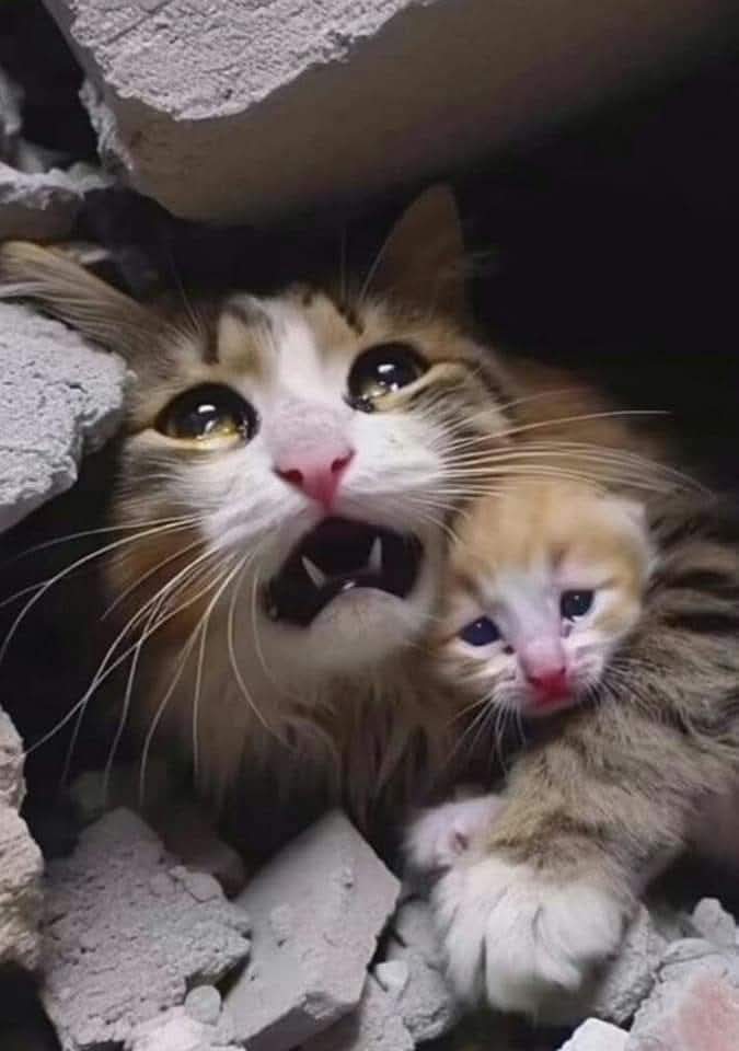 #6subat2023
Depremi en iyi anlatan fotoğraf.