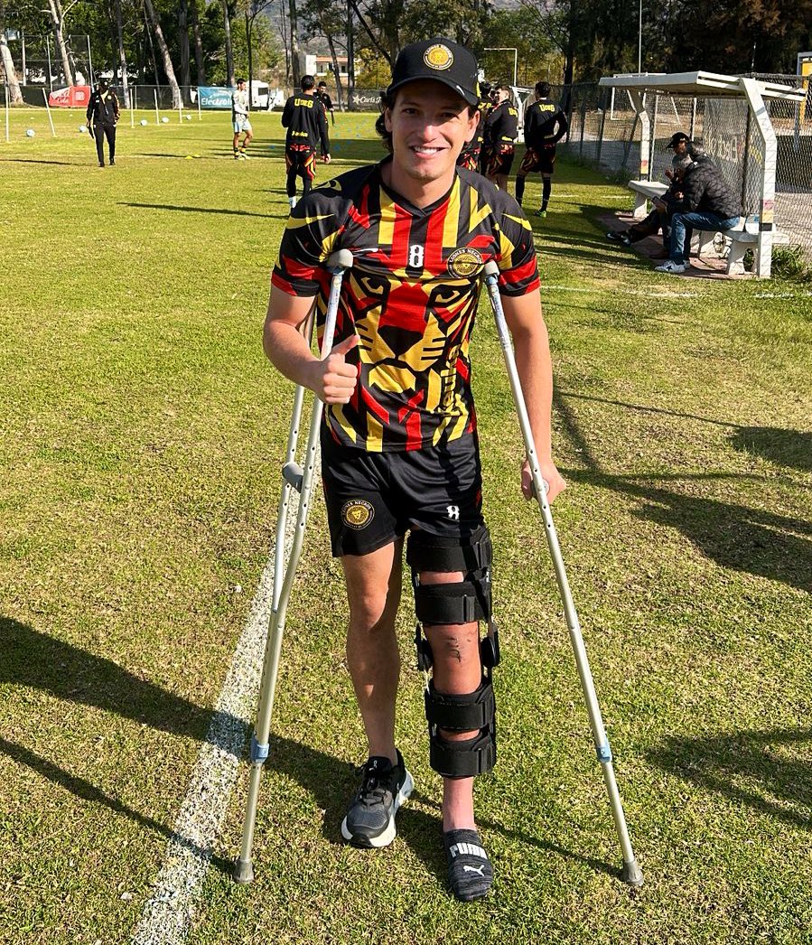 Leones Negros de la UdeG tweet media