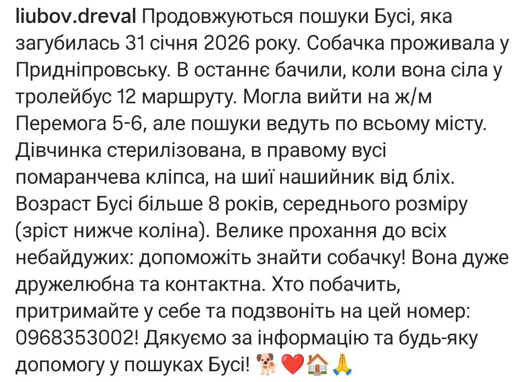 Так, маємо кольорове фото, дуже сподіваюсь, що собачка знайдеться 🥹