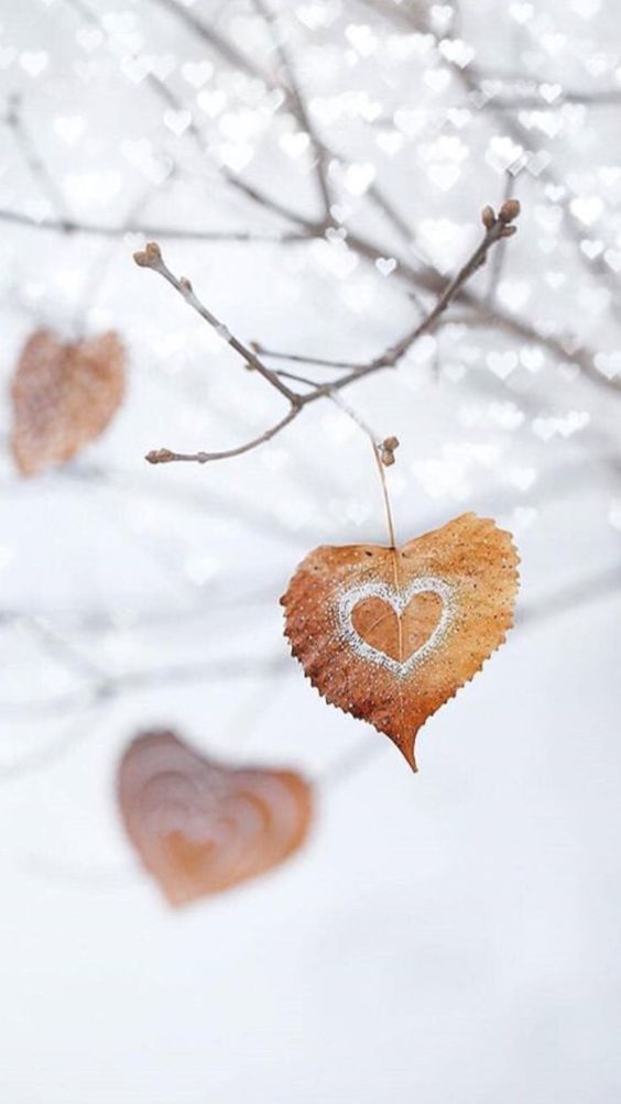 가을맞이 (@gaulkaul) on Twitter photo 