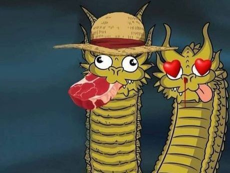 One Piece Daily tweet media