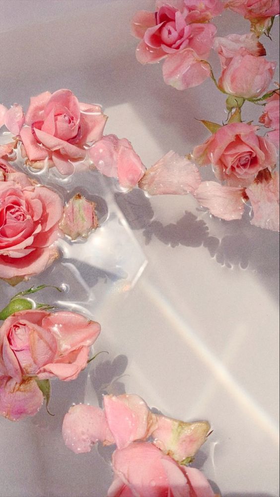 퐈롼봐돠 (@sky2014sea) on Twitter photo 