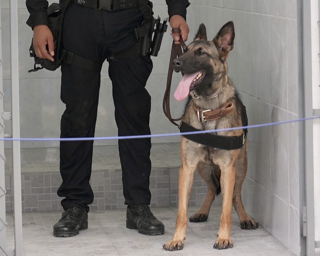 usembassyguate's tweet photo. El #EncargadoDeNegocios John Barrett presentó las nuevas instalaciones para las unidades #K9 de la @PNCdeGuatemala, con apoyo de @StateINL. Destacó el instinto y la lealtad de los agentes K9, clave en la detección de ilícitos, como la reciente incautación histórica de cocaína en Puerto Quetzal. Como parte de la política de seguridad del presidente Trump, esta cooperación fortalece la lucha contra el crimen organizado en el hemisferio. Guatemala y Estados Unidos avanzan juntos para ser más seguros y más prósperos. 🇺🇸🤝🇬🇹