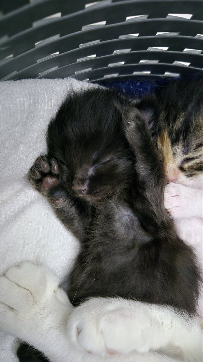 Biriyle konuşmaya başlayinca sanki başıma iş almişım gibi hissediyorum aw. ugraşamiyorum her dakika napıyosun mesajina tahammülüm yok🤪
<a href="/nezAnt01/">Nez🎀</a> en iyi sen anlan