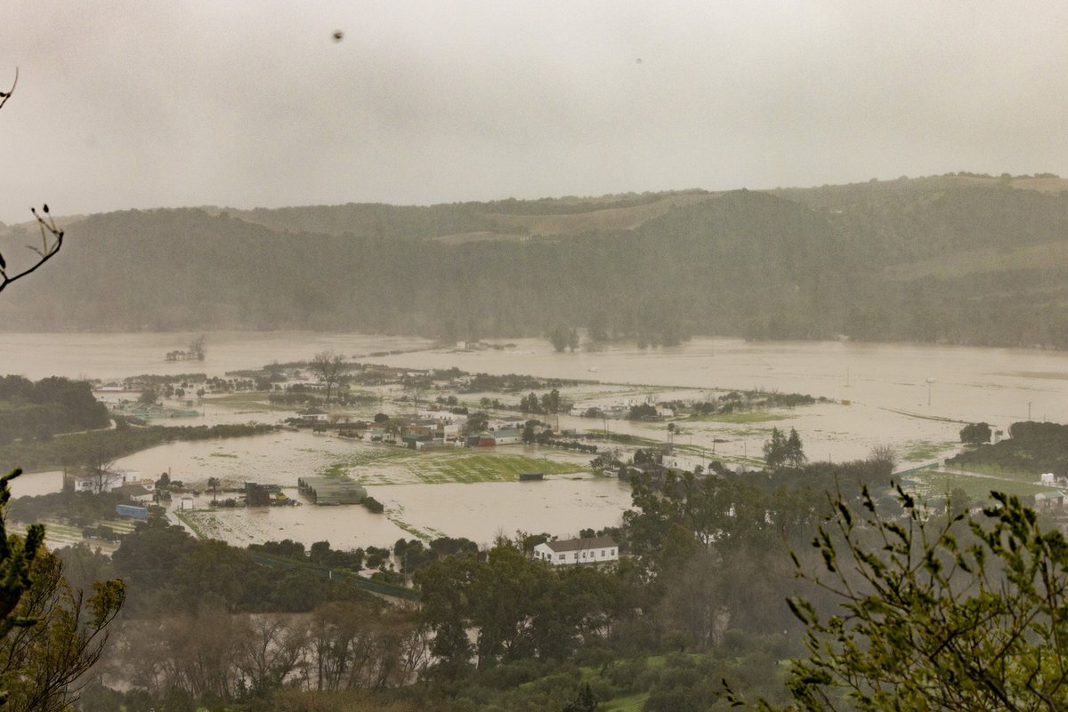 EL PAÍS tweet media