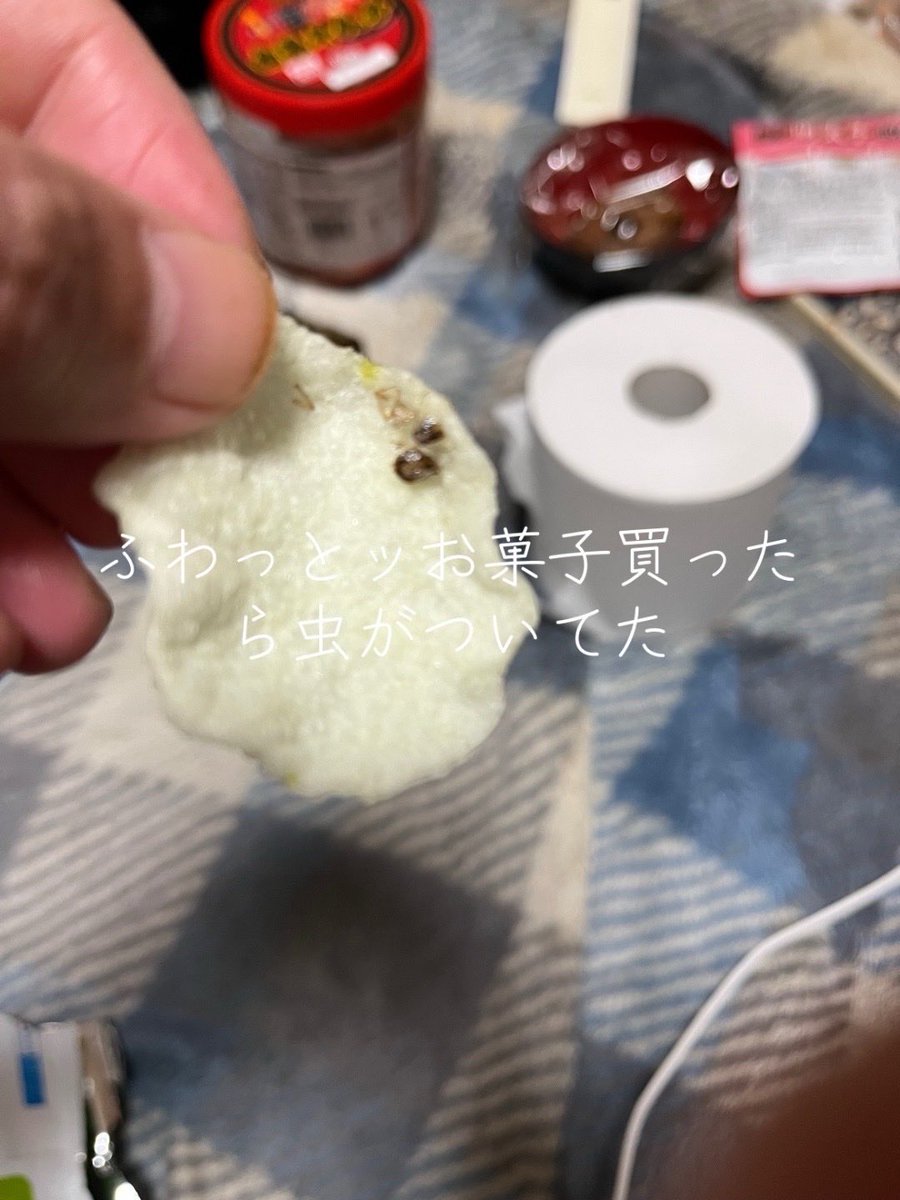 bishop71044149's tweet photo. 虫だよね？ https://t.co/LSWUQbL85s
