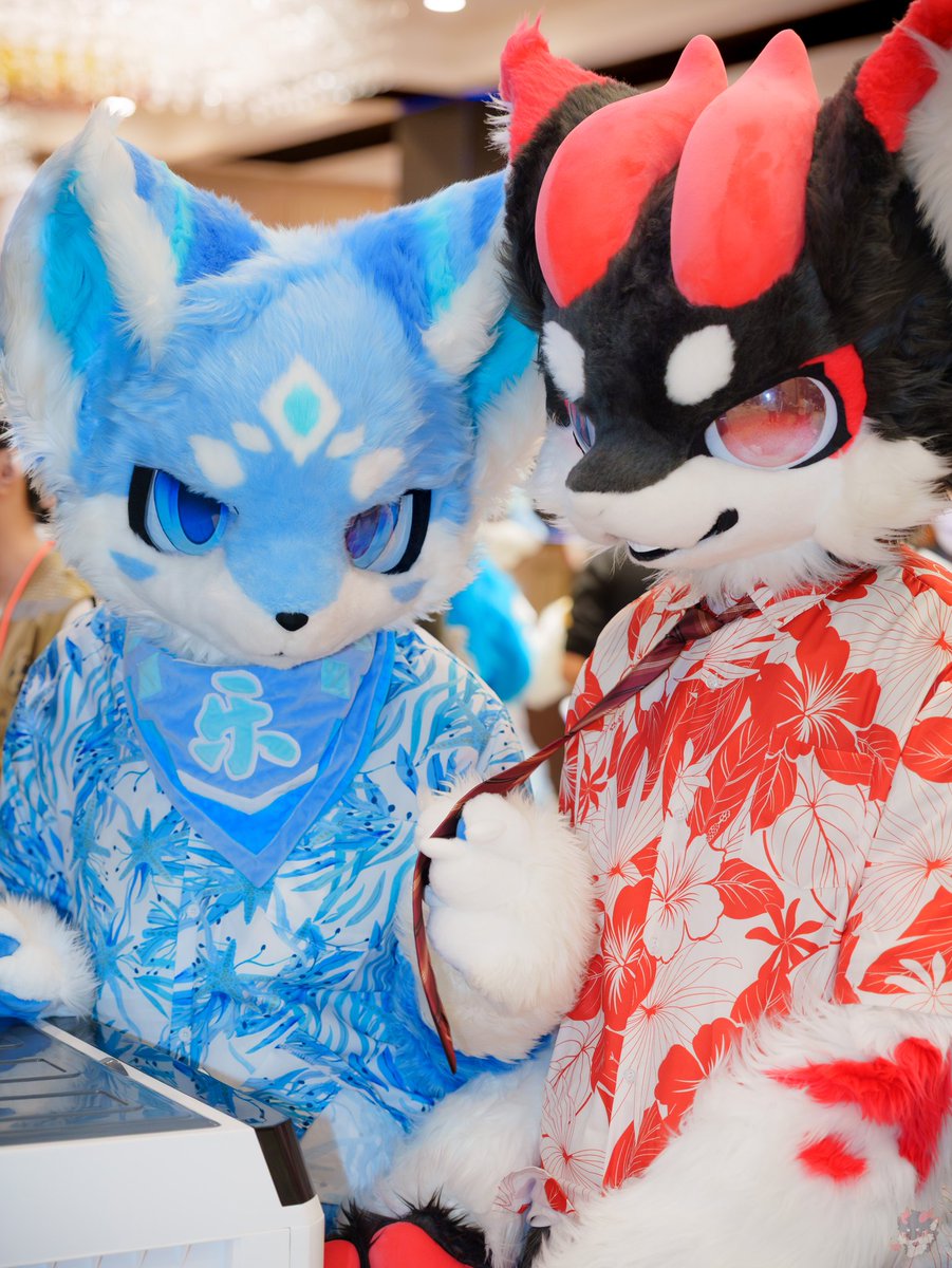 黑小焱 tweet media