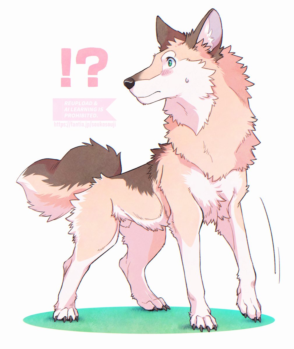 28/30  びっくり史路くん
#furryart #feralart #ケモノ 