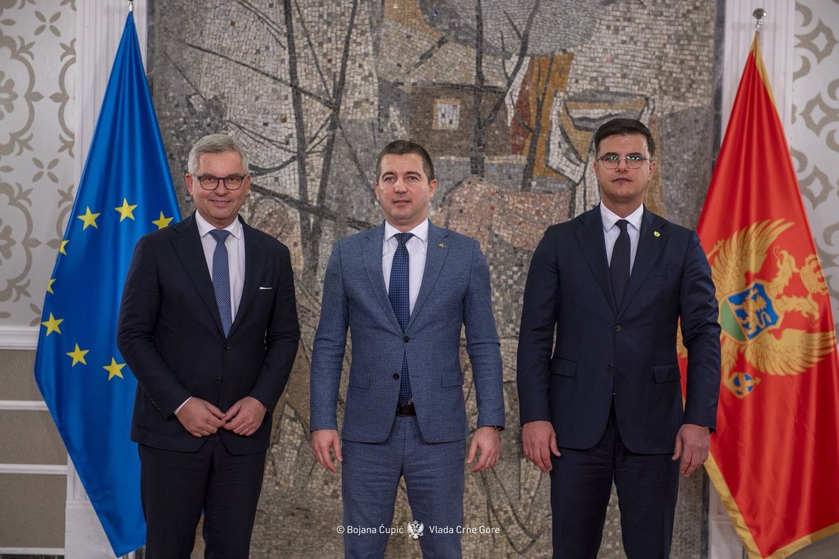 Danilo Saranovic tweet media