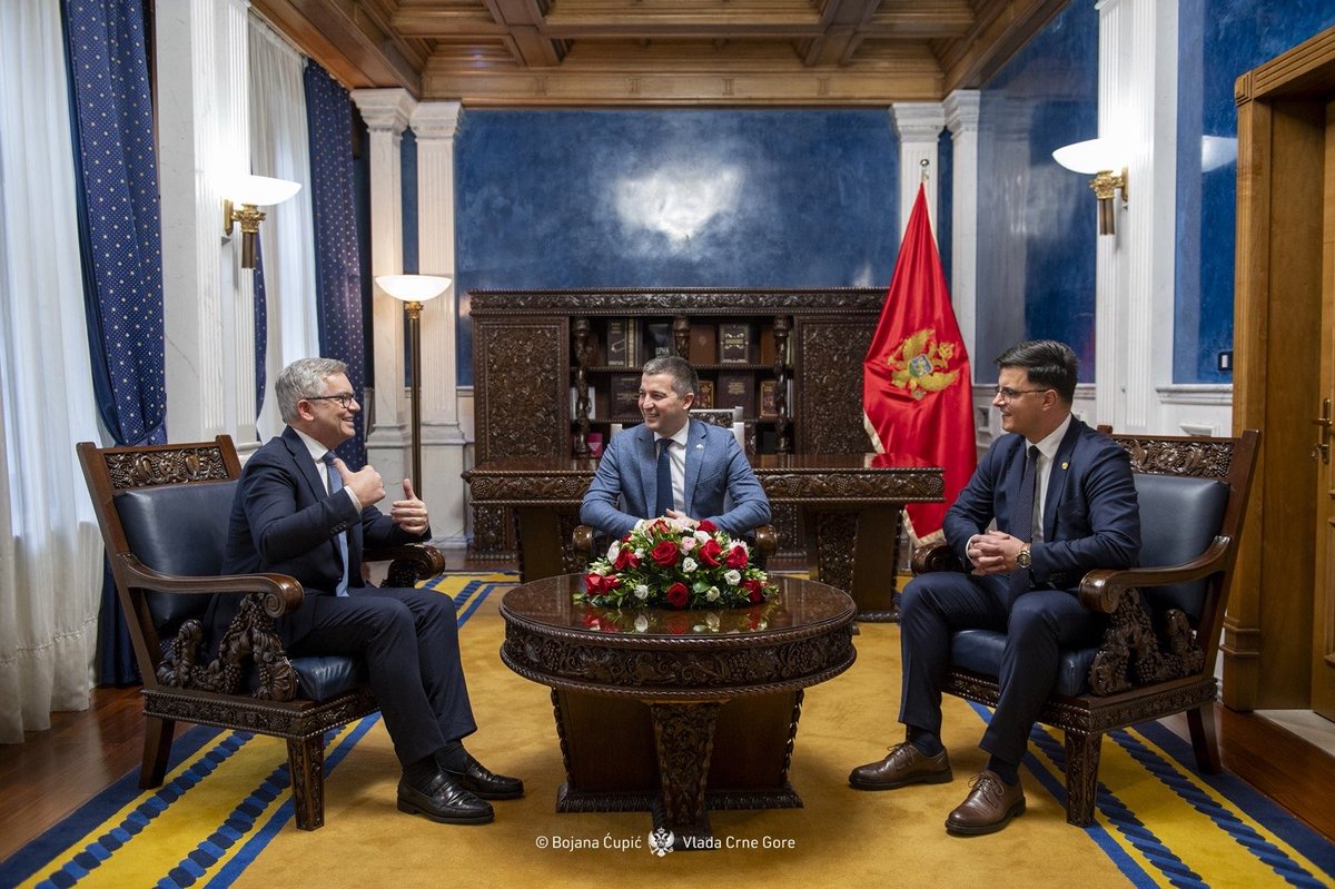 Danilo Saranovic tweet media