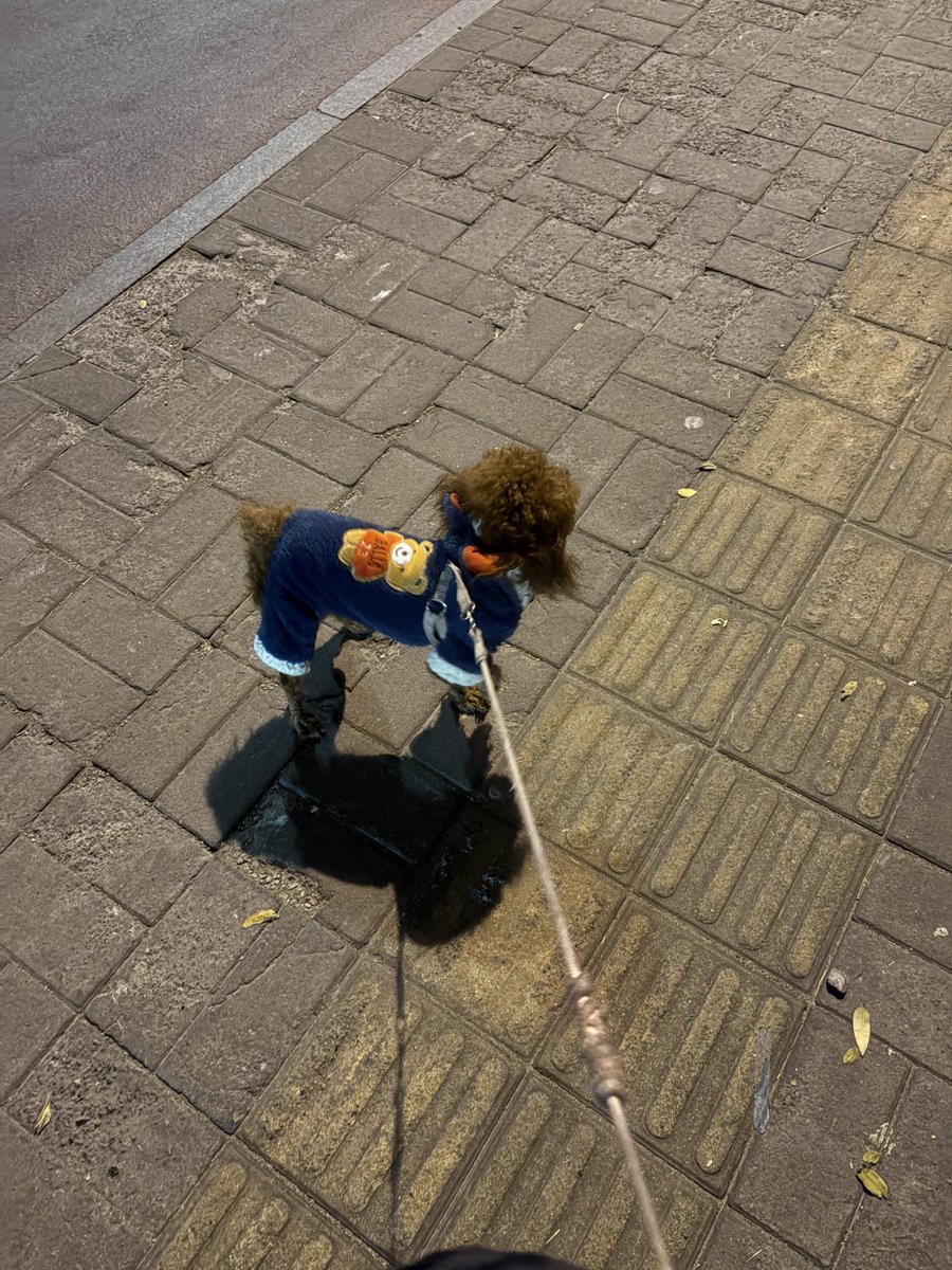 fieldsRTHY's tweet image. 밤에 반려견과 함께 산책하며 휴식을 취하세요.