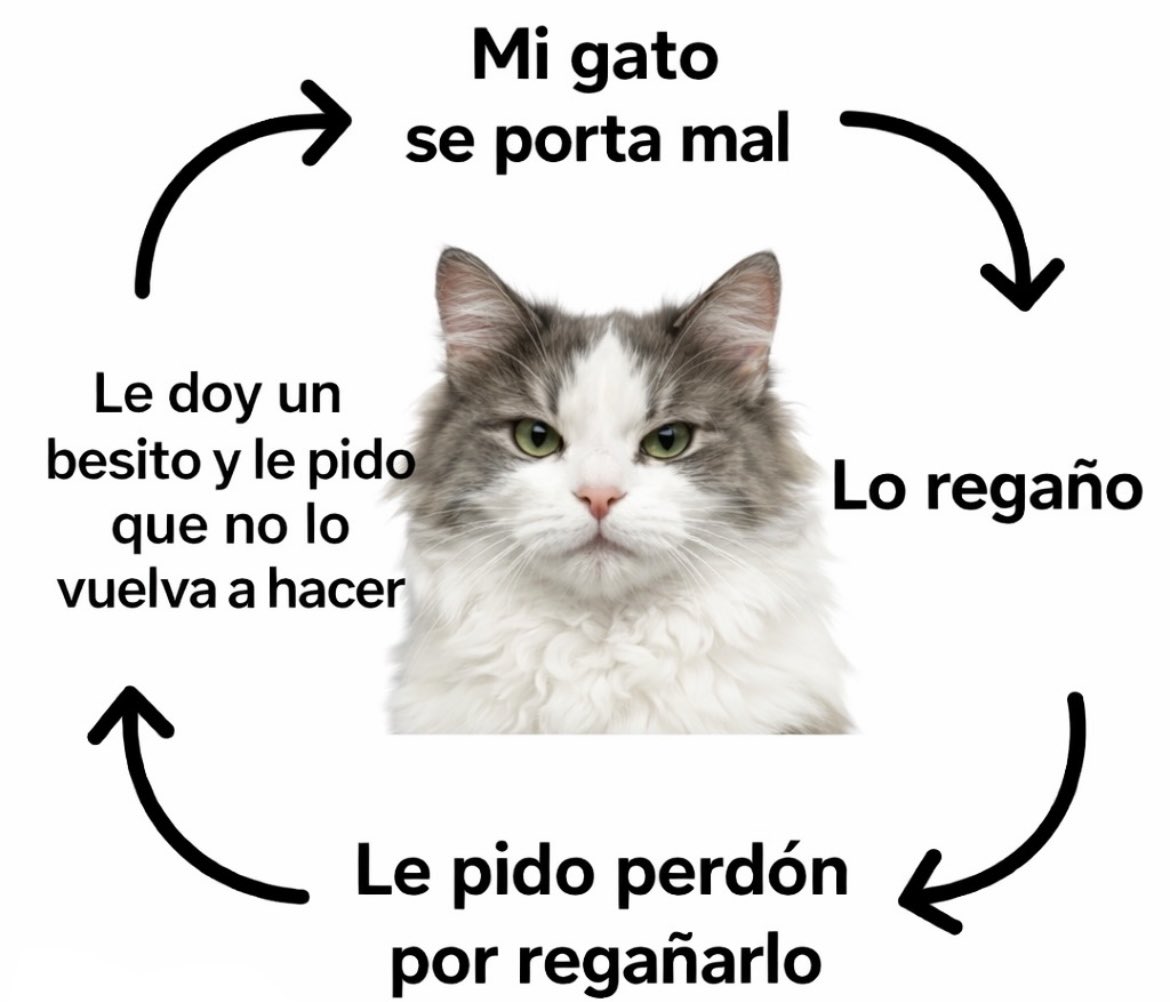 Felicitas73_'s tweet photo. El círculo vicioso más hermoso de las Karen. https://t.co/5uLHlJ3rlW