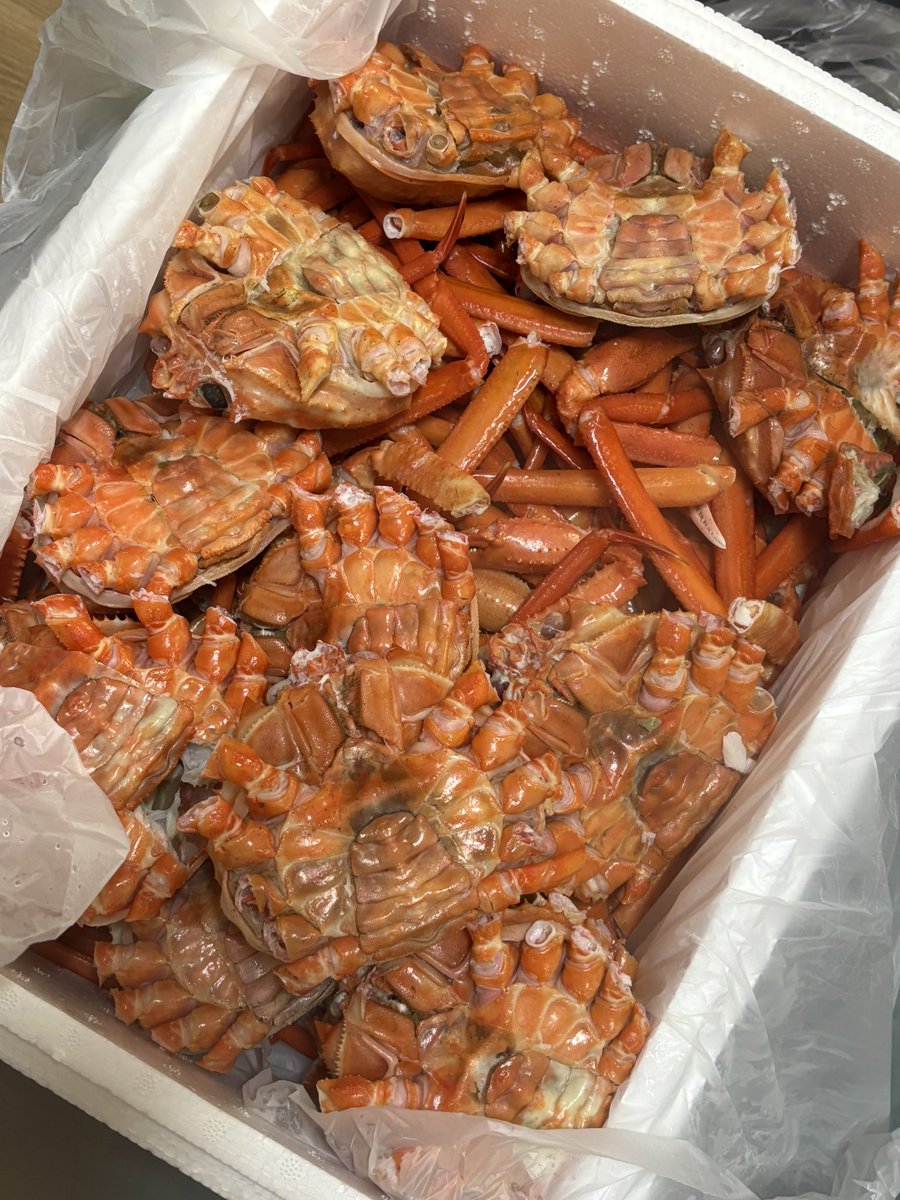 pacccch's tweet image. 섹시푿