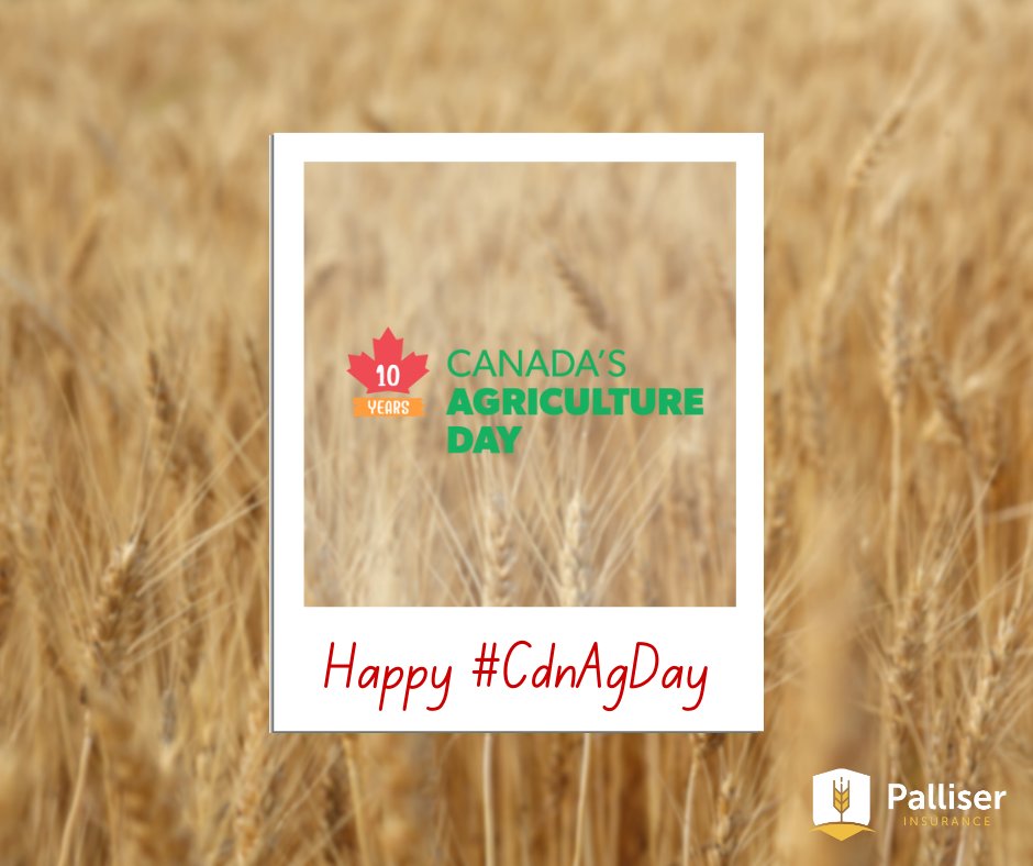 Palliser Insurance tweet media