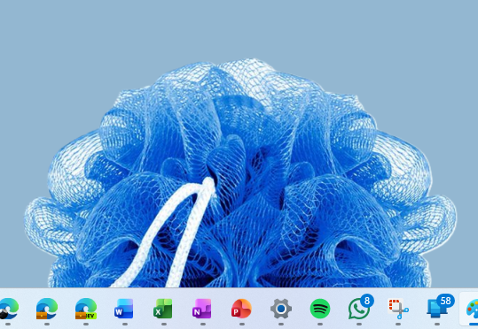 Windows 11: loofah edition