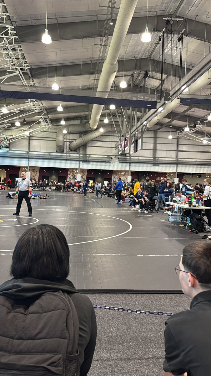 Robert Harrison tweet media